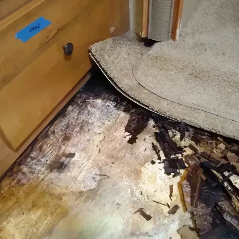 Wood Floor Water Damage in Marion County, FL